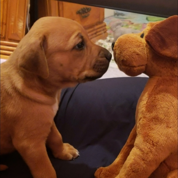 Meet your Posher, Brenda - Picture 15 of 15